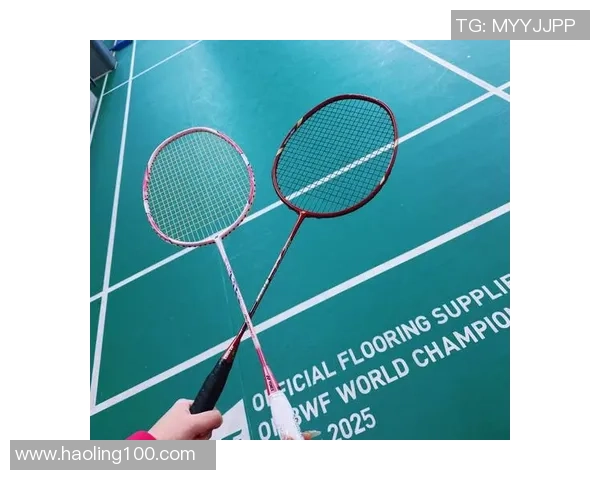 杭州羽毛球队的耐力训练与比赛表现探讨聚焦羽毛球运动的未来发展