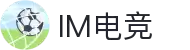 IM(股份有限公司)电竞-电子竞技平台
